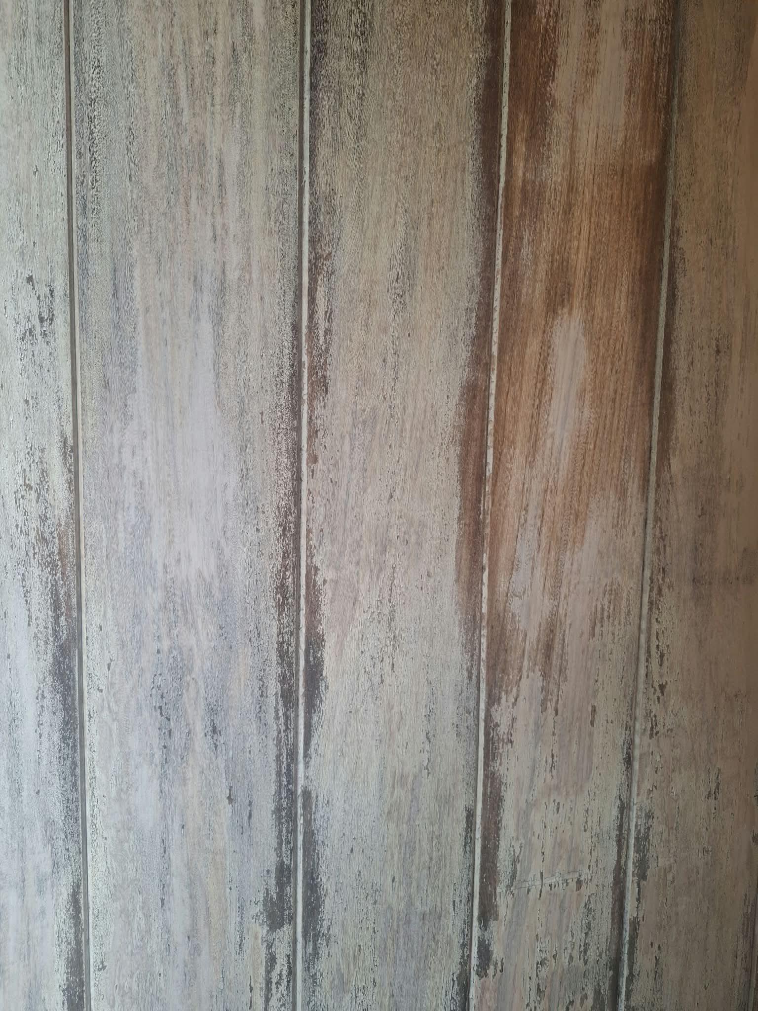 Werf Hove — deuren — foto 5